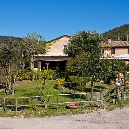 Agriturismo Torre Burchio Bettona Εξωτερικό φωτογραφία